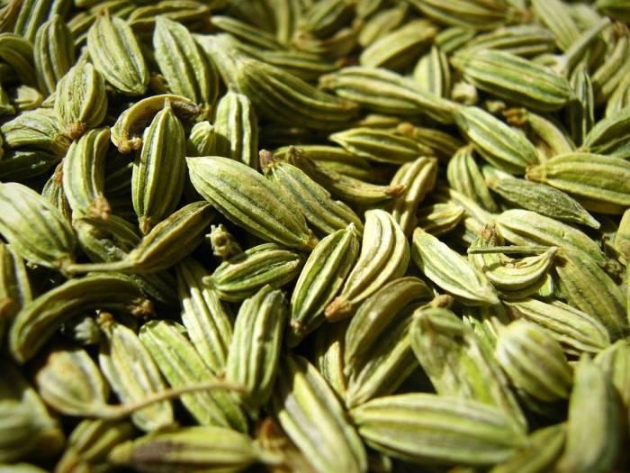 توسعه کشت گیاه دارویی زیره در شهرستان کنگاور