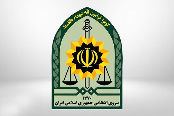 سارق انار در شهربابک دستگیر شد سارق انار در شهربابک دستگیر شد