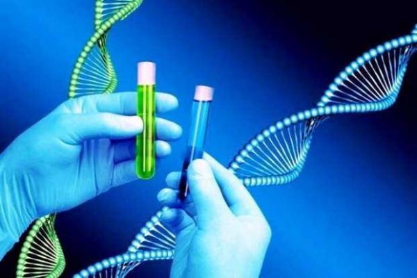 همه گیری کرونا و بحران نادیده گرفتن اهمیت سایر علوم همه گیری کرونا و بحران نادیده دریافت اهمیت سایر علوم