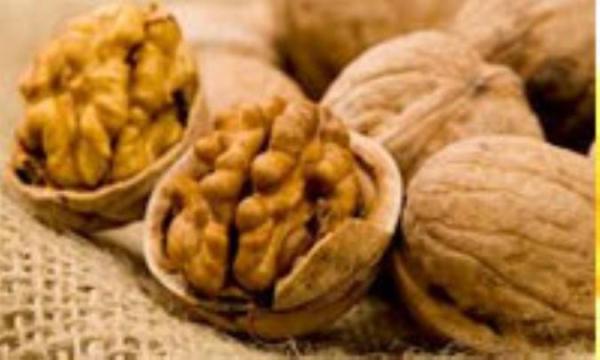 کالری های موجود در گردو