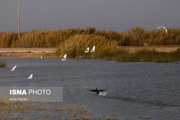 میانگران؛ تالابی که حق آبه ندارد