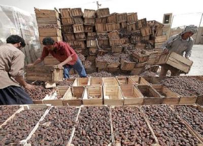 انباشت 20 هزار تن خرما در سردخانه های خوزستان